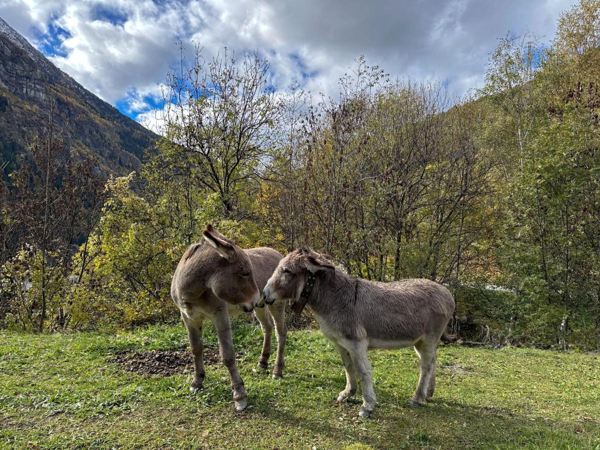 Cozyloge, Orelle & Les 3 Vallees Экстерьер фото